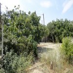 Продажа 4 комнат Дача, пос. Нардаран, Сабунчу район 11