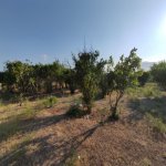 Satılır Torpaq, Maştağa qəs., Sabunçu rayonu 6
