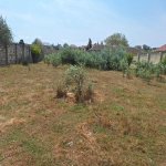 Satılır Torpaq, Novxanı, Abşeron rayonu 3