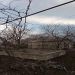 Satılır 4 otaqlı Bağ evi Mingəçevir 19