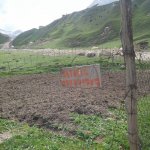 Satılır Torpaq Qusar 6