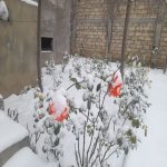 Satılır 7 otaqlı Həyət evi/villa, Nəsimi metrosu, 6-cı mikrorayon, Binəqədi rayonu 15