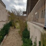 Satılır 6 otaqlı Həyət evi/villa, Koroğlu metrosu, Bilgəh qəs., Sabunçu rayonu 5