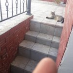 Satılır 3 otaqlı Həyət evi/villa, Novxanı, Abşeron rayonu 12
