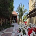 Kirayə (aylıq) 5 otaqlı Həyət evi/villa, Novxanı, Abşeron rayonu 30