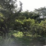 Satılır Torpaq, Əhmədli metrosu, Əhmədli, Xətai rayonu 4