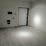 Аренда 1 комнатная Новостройка, İnşaatçılar метро, Ясамальский парк, Ясамал район 3
