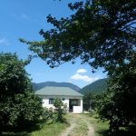 Kirayə (günlük) 3 otaqlı Həyət evi/villa İsmayıllı 1