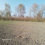 Продажа Участок Хачмаз 5