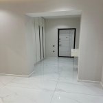 Аренда 2 комнатная Новостройка, м. 20 Января метро, Насими район 10