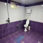 Kirayə (günlük) 3 otaqlı Həyət evi/villa Lerik 17