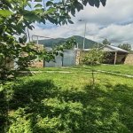 Kirayə (günlük) 4 otaqlı Həyət evi/villa Qəbələ 3