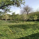 Kirayə (günlük) 2 otaqlı Həyət evi/villa İsmayıllı 7