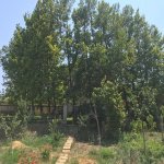 Kirayə (aylıq) 10 otaqlı Bağ evi, Bilgəh qəs., Sabunçu rayonu 5