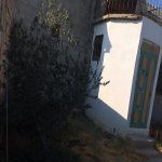 Satılır 5 otaqlı Həyət evi/villa, Şıxlar qəs., Qaradağ rayonu 15