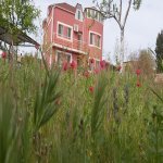 Kirayə (aylıq) 7 otaqlı Bağ evi, Nardaran qəs., Sabunçu rayonu 31