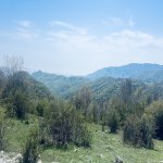Satılır Torpaq Şamaxı 8