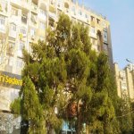Satılır 3 otaqlı Köhnə Tikili, Yeni Günəşli qəs., Suraxanı rayonu 1