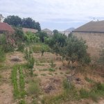 Satılır Torpaq, Novxanı, Abşeron rayonu 3