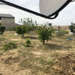 Продажа 3 комнатная Дача, пос. Курдаханы, Sea Breeze, Сабунчу район 3