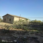Satılır 3 otaqlı Bağ evi, Goradil, Abşeron rayonu 6