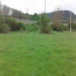 Satılır Torpaq Qəbələ 6