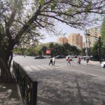 Kirayə (aylıq) Obyekt, Gənclik metrosu, Nərimanov rayonu 2