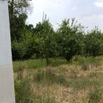 Kirayə (günlük) 2 otaqlı Həyət evi/villa Qəbələ 9