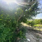 Satılır Torpaq, Şüvəlan, Xəzər rayonu 9