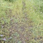 Продажа Участок Гябяля 2