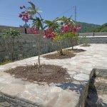 Satılır 3 otaqlı Həyət evi/villa İsmayıllı 14