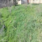 Satılır 2 otaqlı Həyət evi/villa, Masazır, Abşeron rayonu 9