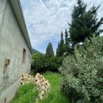 Satılır 4 otaqlı Həyət evi/villa Astara 20