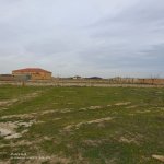 Satılır Torpaq, Saray, Abşeron rayonu 4