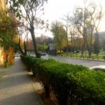 Kirayə (aylıq) 1 otaqlı Ofis, Gənclik metrosu, Nəsimi rayonu 2