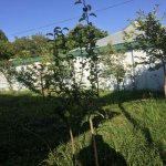 Kirayə (aylıq) 3 otaqlı Həyət evi/villa Qəbələ 3