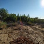 Satılır 3 otaqlı Bağ evi, Nardaran qəs., Sabunçu rayonu 13