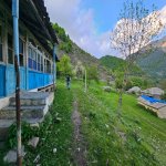 Satılır Torpaq Qəbələ 8