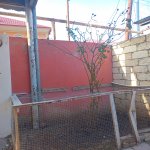 Аренда 3 комнатная Дома/Виллы, Масазыр, Абшерон район 31