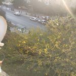 Kirayə (aylıq) 5 otaqlı Köhnə Tikili, Əhmədli metrosu, Xətai rayonu 8