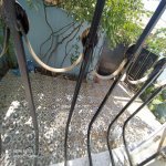 Satılır 3 otaqlı Həyət evi/villa Xırdalan 15