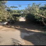 Satılır Torpaq, Badamdar qəs., Səbail rayonu 10