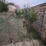 Satılır 2 otaqlı Bağ evi, Şüvəlan, Xəzər rayonu 9