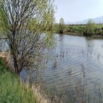 Продажа Участок Хачмаз 76