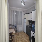Kirayə (aylıq) 1 otaqlı Yeni Tikili, 28 May metrosu, Nəsimi rayonu 11