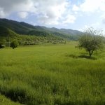 Satılır Torpaq Qusar 2