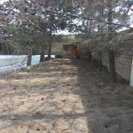 Продажа 6 комнатная Дача, м. Короглу метро, пос. Пиршаги, Сабунчу район 6