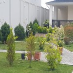 Satılır 6 otaqlı Həyət evi/villa, Buzovna, Xəzər rayonu 13