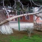Satılır 5 otaqlı Bağ evi, Bilgəh qəs., Sabunçu rayonu 7