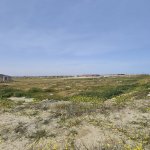 Satılır Torpaq, Masazır, Abşeron rayonu 5